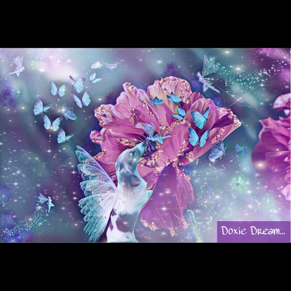 Meet your Posher, Lori - Picture 3 of 8